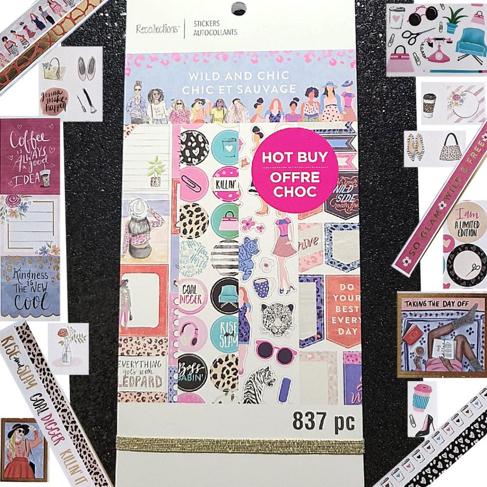 NEW Book of 837 Stickers WILD & CHIC Recollections